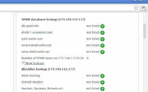 IP Address and Domain Information screenshot