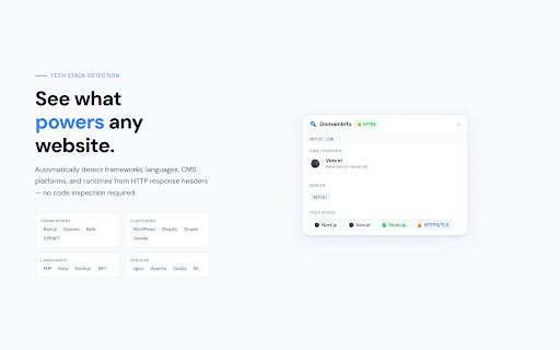 DomainInfo — Tech Stack Inspector screenshot