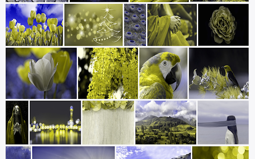 Colorblindly screenshot