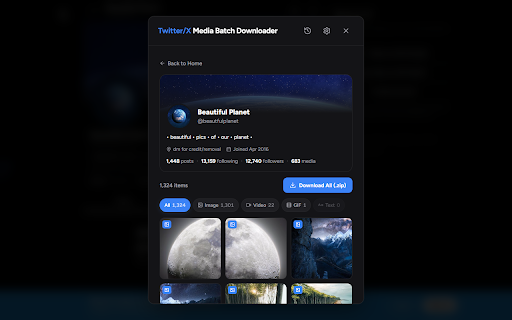 Twitter/X Media Batch Downloader screenshot