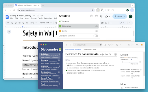 Connecteur Antidote screenshot