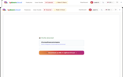 IgDownCloud – Instagram Bulk Downloader screenshot