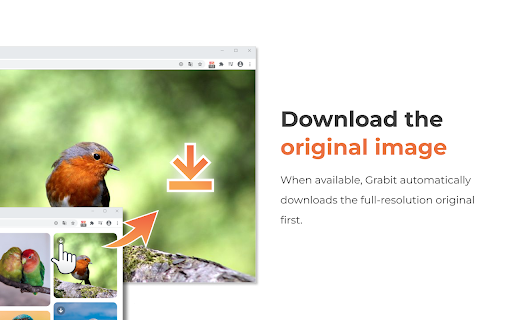 One-click image downloader - Grabit screenshot