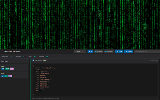 WebSocket Visualizer screenshot