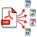 PDF Converter icon