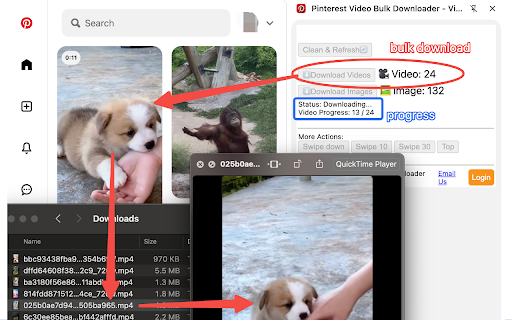 Pinterest Video Bulk Downloader - HD Video and Images screenshot