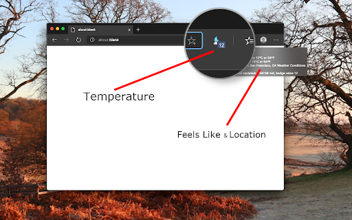 Weather Forecast screenshot