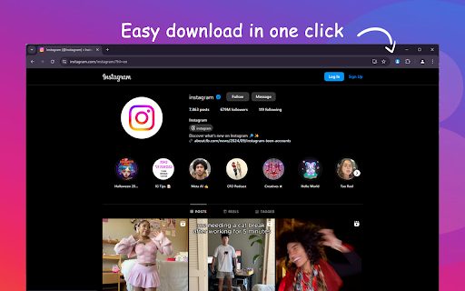 IG Profile Viewer screenshot
