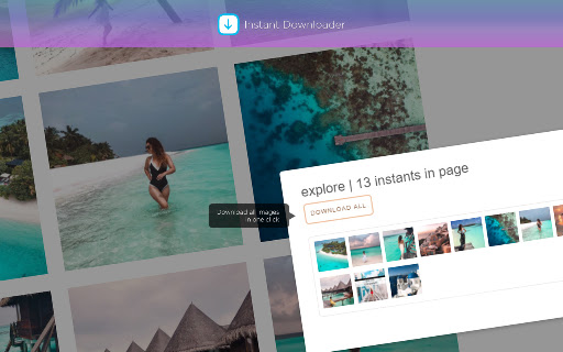 Instant Downloader screenshot