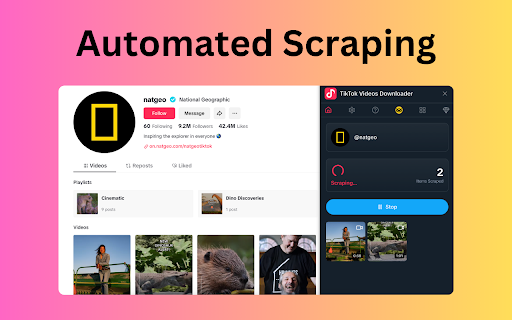 Short Videos Downloader screenshot