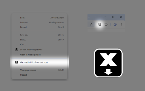 X (Twitter) Media Extraction & Download screenshot