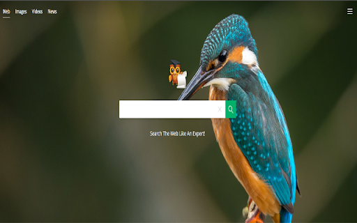 Expertwig - Search Web Like An Expert screenshot