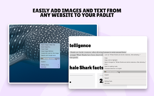 Padlet Mini screenshot