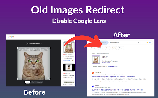 Old Images Redirect: Disable Google Lens screenshot