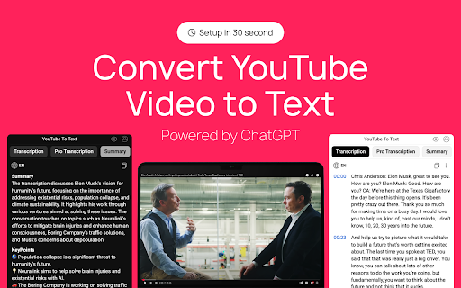 YouTube To Text screenshot