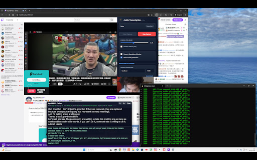 Audio Transcription & Live Interpreter screenshot