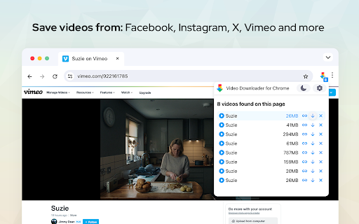 Video Downloader screenshot