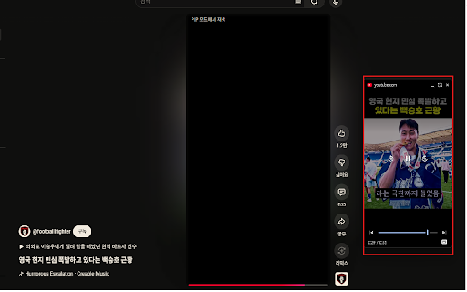 Shorts PiP (쇼츠 PIP) screenshot