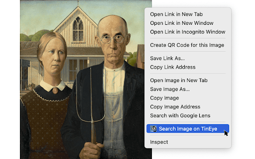 TinEye Reverse Image Search screenshot