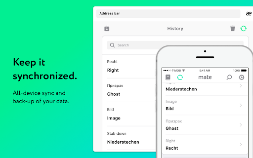 Mate Translate – translator, dictionary screenshot