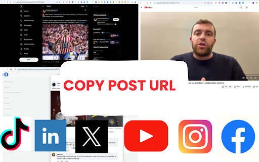 Comments Scraper: Extract comments from 6 social media sites screenshot