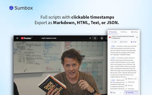 Sumbox - YouTube & web summarizer screenshot