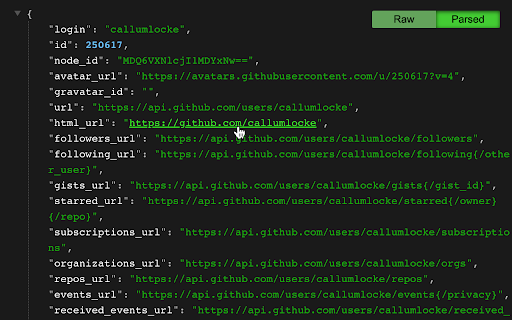 JSON Formatter screenshot