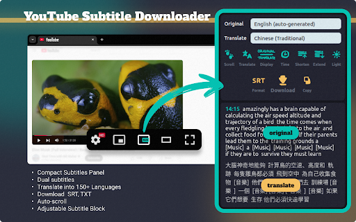 YouTube Subtitle Downloader screenshot