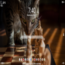 Chess MeaVana icon