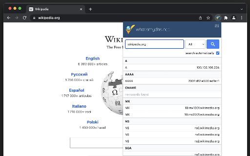 DNS Lookup screenshot
