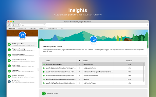 Salesforce Page Optimizer screenshot