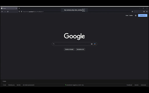 Google meet fullscreen screenshot