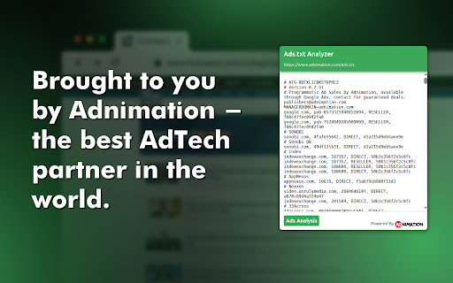 Ads.txt Analyzer screenshot