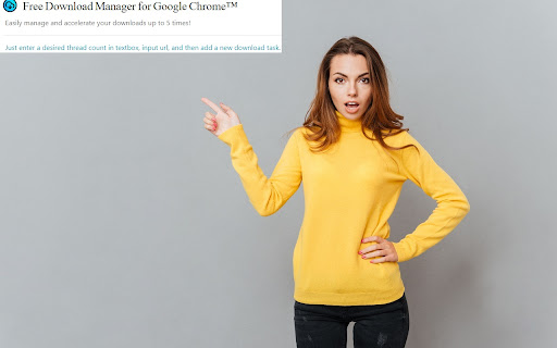 Free Download Manager for Google Chrome™ screenshot
