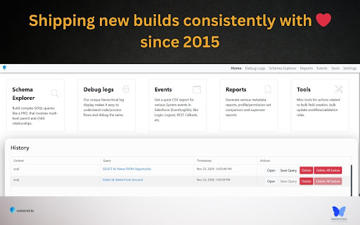 Salesforce Tool Suite screenshot