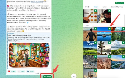 Telegram Downloader - Free Telegram Video Downloader screenshot
