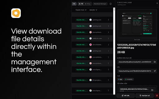 Download Manager screenshot