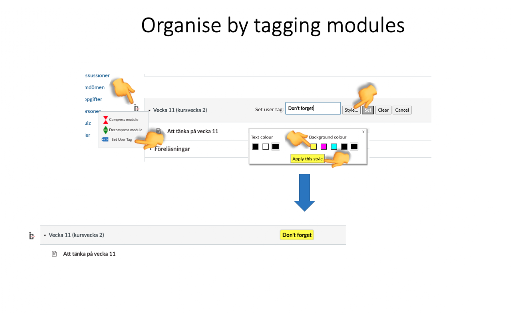 Canvas Modules Organiser screenshot