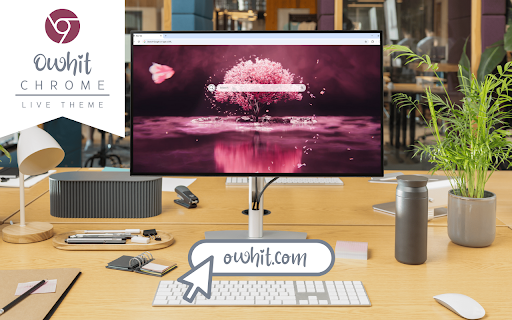 Cherry Blossom Live Wallpaper screenshot
