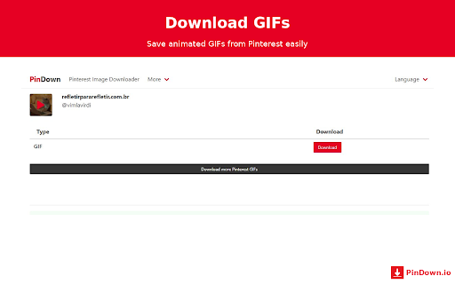 PinDown - Pinterest Downloader screenshot