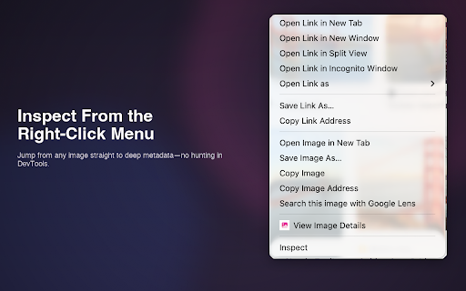Image Info Viewer for Chrome screenshot