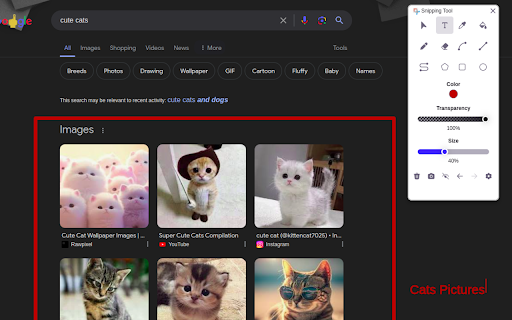 snipping tool for chrome screenshot