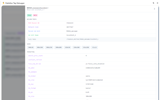 Publisher Tag Debugger screenshot