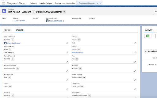 Salesforce Show Api Name screenshot