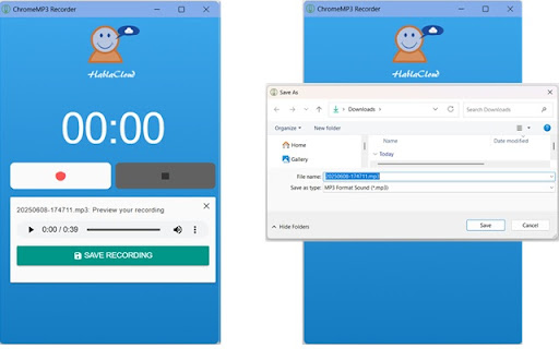ChromeMP3 Recorder Extension screenshot
