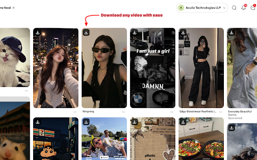 Pinterest Video Downloader - Pinload screenshot