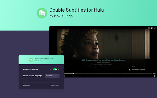 Double Subtitles for Hulu by MovieLingo screenshot