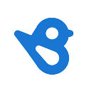 Birdeye icon