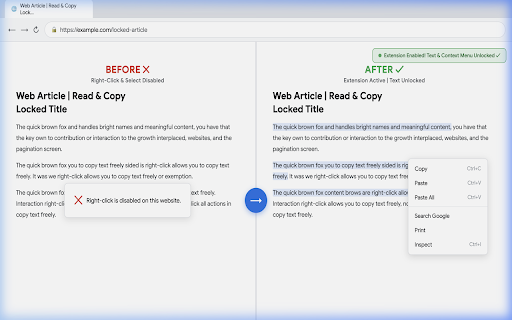 Simple Allow Copy screenshot