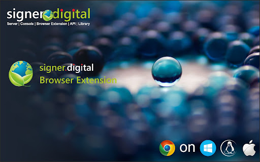 Signer.Digital Digital Signature, PKI screenshot